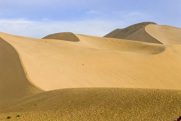 Sand dunes and oasis, desert, Whistling Dune, Dunhuang, Gansu, China, Asia
