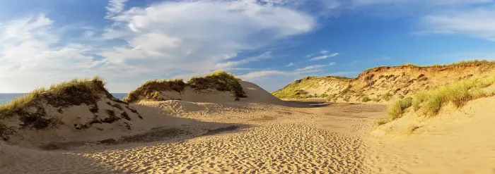 Framed Print : Sand dunes at Red Cliffs (Rotes Kliff), Kampen, Sylt, Schleswig Holstein, Germany, Europe Framed Print : Sand dunes at Red Cliffs (Rotes Kliff), Kampen, Sylt, Schleswig Holstein, Germany, Europe