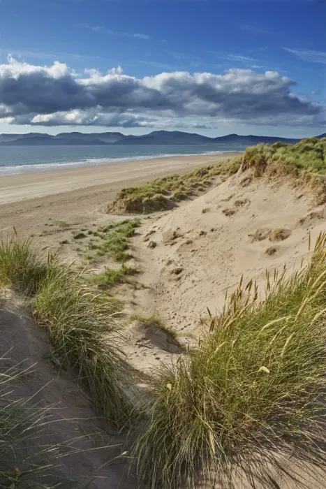 Framed Print : Sand dunes on Rossbeigh beach, Ring of Kerry, County Kerry, Munster, Republic of Ireland Framed Print : Sand dunes on Rossbeigh beach, Ring of Kerry, County Kerry, Munster, Republic of Ireland