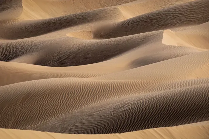 Framed Print : Sand dunes detail in the Rub al Khali desert, Oman, Middle East Framed Print : Sand dunes detail in the Rub al Khali desert, Oman, Middle East