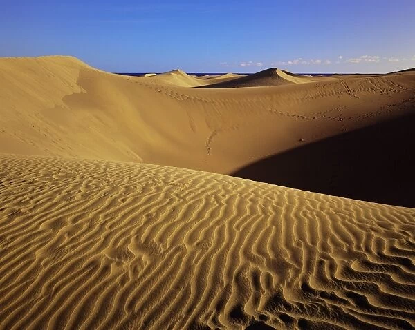 Sand dunes and sea beyond