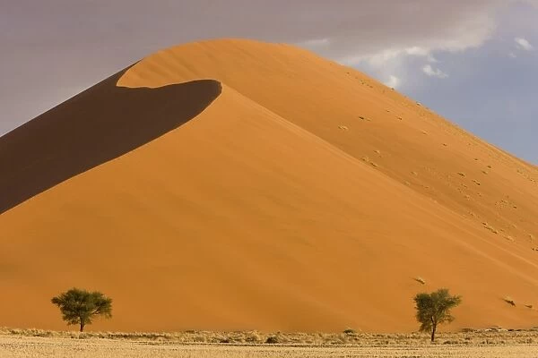 Sand dunes, Sossusvlei, Namib Naukluft Park, Namib Desert, Namibia, Africa