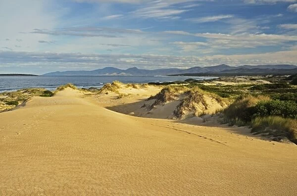 Sand dunes, St. Helens Conservation Area, St. Helens, Tasmania, Australia, Pacific