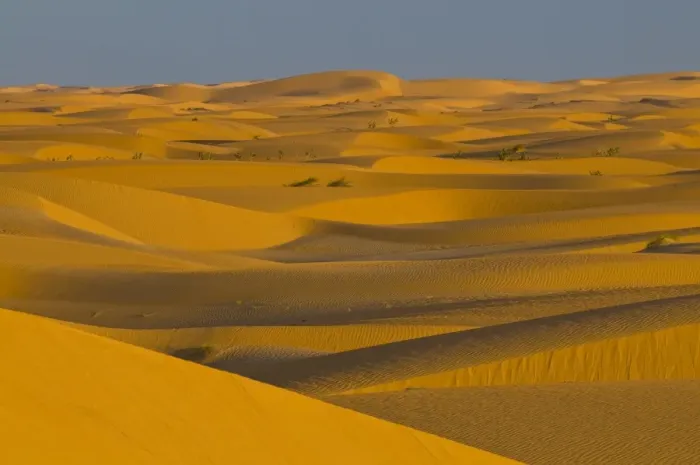 Framed Print : Sand dunes at sunset, near Chinguetti, Mauritania, Africa Framed Print : Sand dunes at sunset, near Chinguetti, Mauritania, Africa