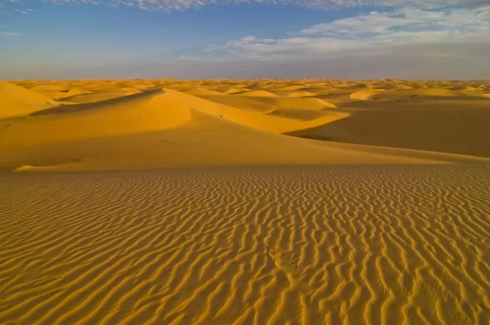 Framed Print : Sand dunes at sunset, near Chinguetti, Mauritania, Africa Framed Print : Sand dunes at sunset, near Chinguetti, Mauritania, Africa