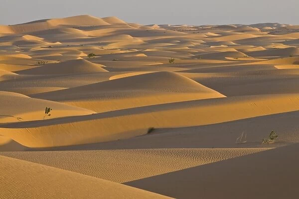 Sand dunes at sunset, near Chinguetti, Mauritania, Africa