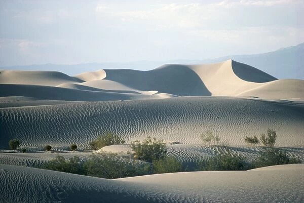 Sand dunes on valley floor