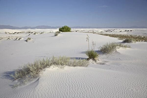 Sand dunes, White Sands National Monument, New Mexico, United States of America