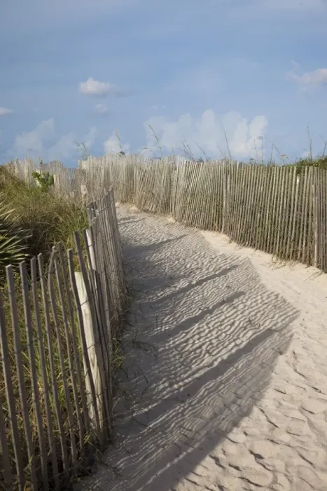 Framed Print : Sand held in place by fence on South Beach in Miami Beach, Florida, United States of America Framed Print : Sand held in place by fence on South Beach in Miami Beach, Florida, United States of America
