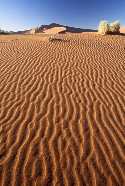 Sand Ripples on one of the ancient orange dunes of the Namib Desert at Sossusvlei, near Sesriem, Namib Naukluft Park, Namibia, Africa