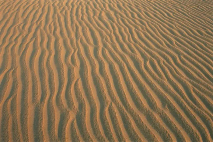 Framed Print : Sand ripples, between Kharga and Dakhla oases, Western Desert, Egypt, North Africa Framed Print : Sand ripples, between Kharga and Dakhla oases, Western Desert, Egypt, North Africa