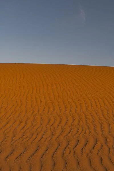 Sand ripples in the sand dunes of the Tenere Desert, Sahara, Niger, Africa