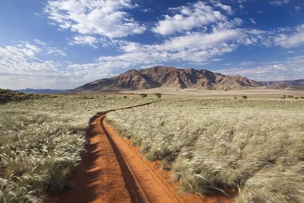 Sand road cutting across grassy landscape towards mountains, Wolwedans, Namib Rand Game Reserve, Namib Naukluft Park, Namibia, Africa