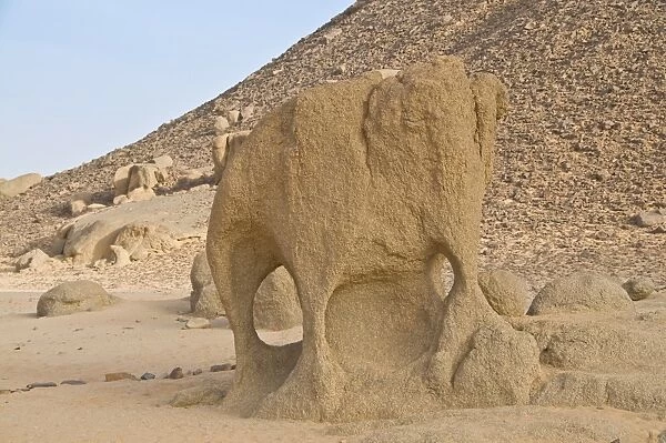 Sand sculpture looking like an elephant, Sahara, Algeria, North Africa, Africa