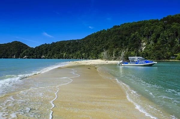 Sand split in the Abel Tasman National Park, South Island, New Zealand, Pacific