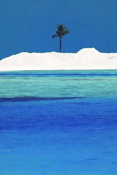 Sandbank and palm tree on tropical beach, Maldives, Indian Ocean, Asia