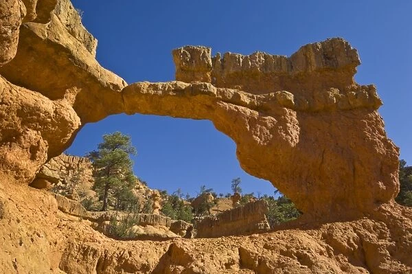 Sandstone arch of Claron formation, Pink Ledges Trail, Red Canyon, Utah