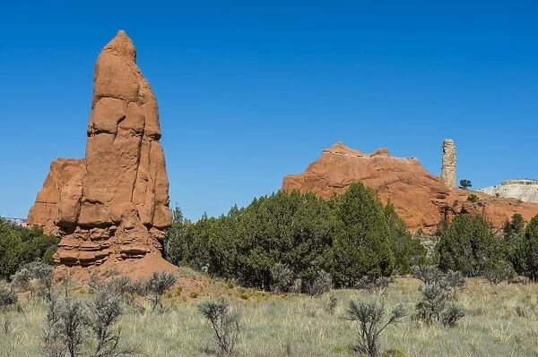 Sandstone chimneys in the Kodachrome Basin State Park, Utah, United States of America, North America