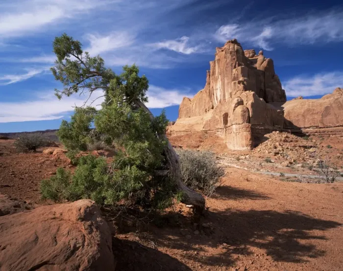 Framed Print : Sandstone cliffs