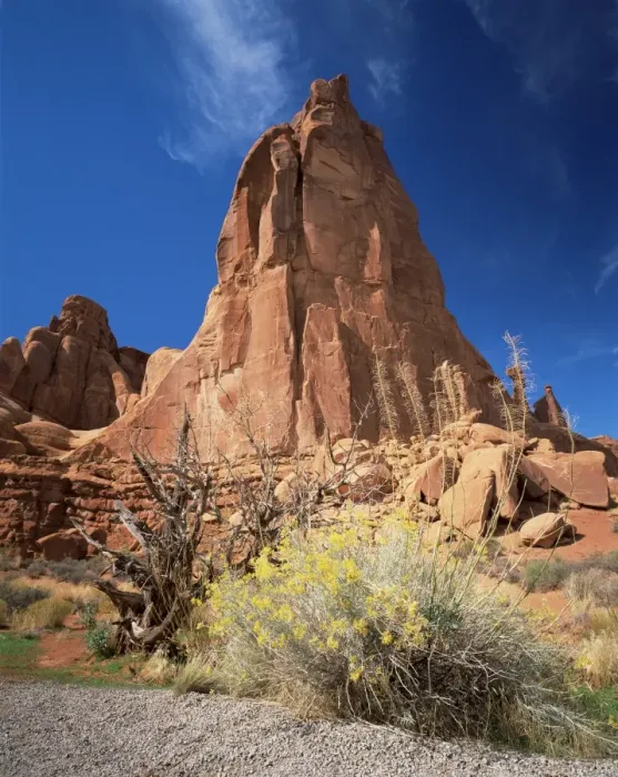 Framed Print : Sandstone cliffs Framed Print : Sandstone cliffs