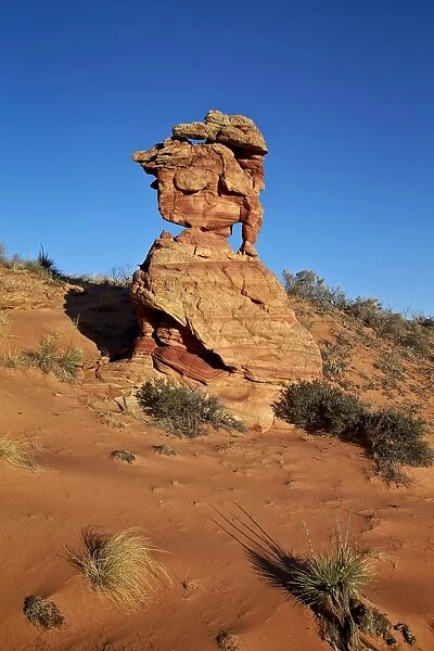 Sandstone formation, Coyote Buttes Wilderness, Vermilion Cliffs National Monument, Arizona, United States of America, North America