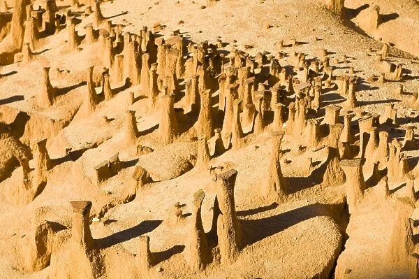 Sandstone formations, Ankarafantsika National Park, Madagascar, Africa