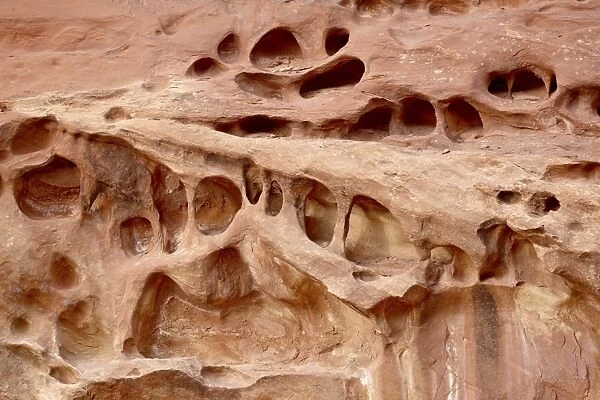 Sandstone formations, Capitol Reef National Park, Utah, United States of America, North America