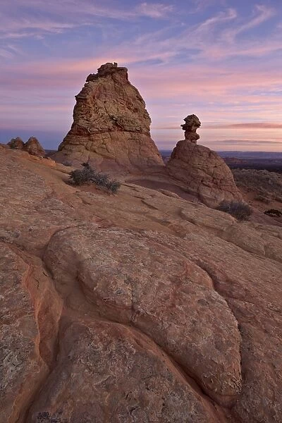 Sandstone formations at sunrise, Coyote Buttes Wilderness, Vermilion Cliffs National Monument