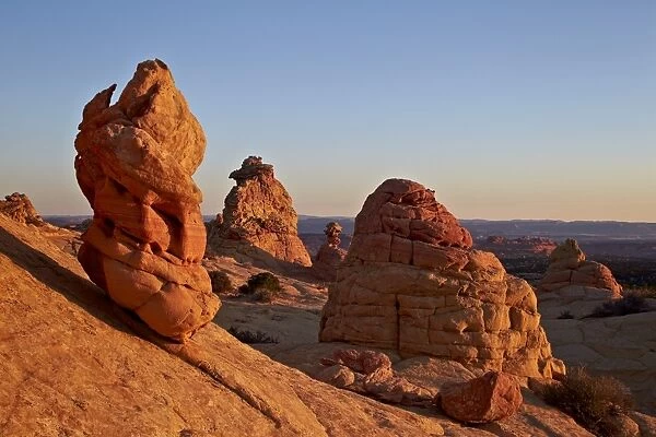Sandstone formatios at first light, Coyote Buttes Wilderness, Vermilion Cliffs National Monument, Arizona, United States of America, North America