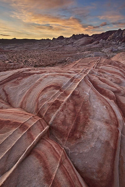 Sandstone forms at dawn, Valley of Fire State Park, Nevada, United States of America