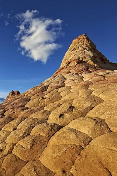 Sandstone hill with brain texture and a cloud, Coyote Buttes Wilderness, Vermillion Cliffs National Monument, Arizona, United States of America, North America