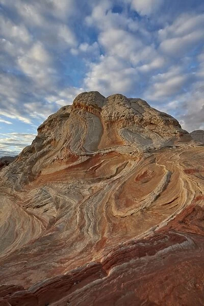 Sandstone hill with swirly layers, White Pocket, Vermillion Cliffs National Monument, Arizona, United States of America, North America