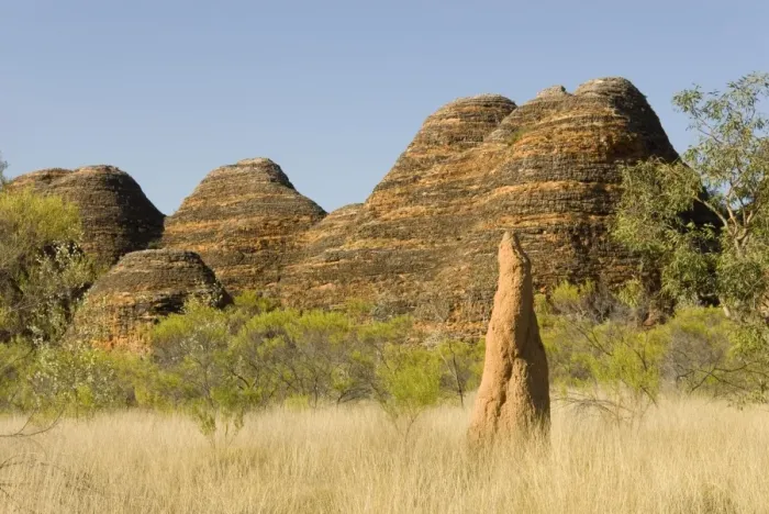 Framed Print : Sandstone hills and termite mounds in The Domes area of Purnululu National Park (Bungle Bungle), UNESCO World Heritage Site, Western Australia, Australia, Pacific Framed Print : Sandstone hills and termite mounds in The Domes area of Purnululu National Park (Bungle Bungle), UNESCO World Heritage Site, Western Australia, Australia, Pacific