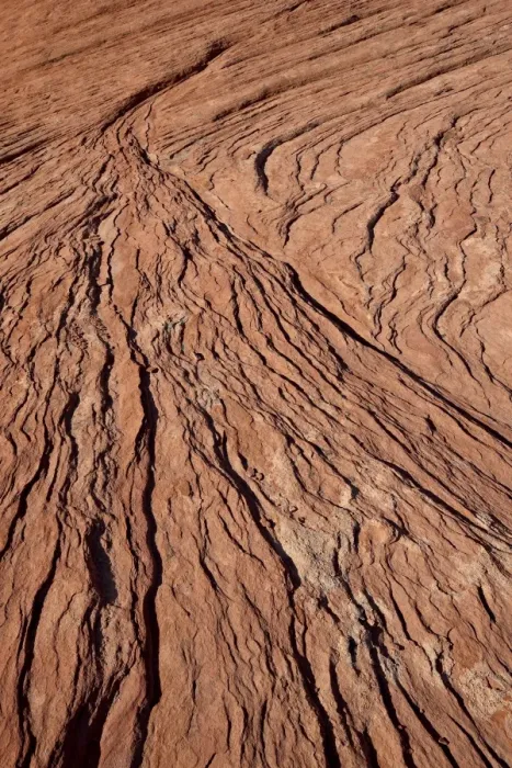 Framed Print : Sandstone layers eroded into a fan, Valley of Fire State Park, Nevada, United States of America, North America