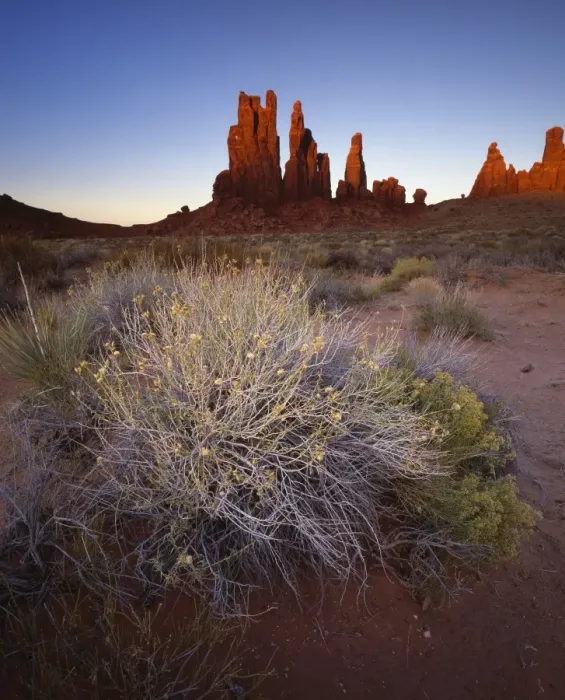 Framed Print : Sandstone pillars bathed in golden evening light, Monument Valley Navajo Tribal Park Framed Print : Sandstone pillars bathed in golden evening light, Monument Valley Navajo Tribal Park