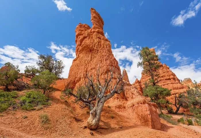 Framed Print : Sandstone rock formation in the Dixie National Forest, Utah, USA. The National Forest was created in 1906 Framed Print : Sandstone rock formation in the Dixie National Forest, Utah, USA. The National Forest was created in 1906