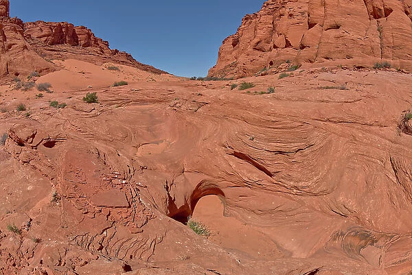 Sandstone Waves in Ferry Swale Canyon near Page, Arizona, United States of America, North America