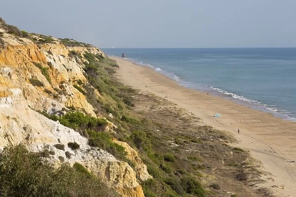 Sandy beach and cliffs, Mazagon, Costa de la Luz, Huelva Province, Andalucia, Spain