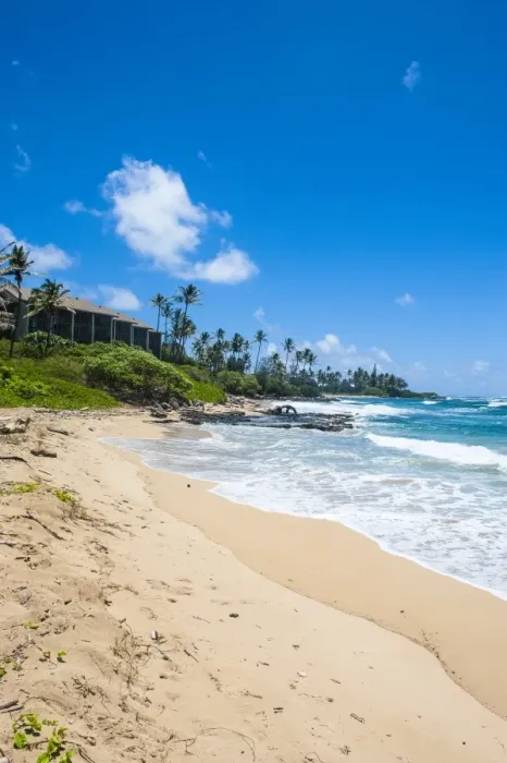 Framed Print : Sandy beach on Kapaa Beach Park on the island of Kauai, Hawaii, United States of America, Pacific Framed Print : Sandy beach on Kapaa Beach Park on the island of Kauai, Hawaii, United States of America, Pacific
