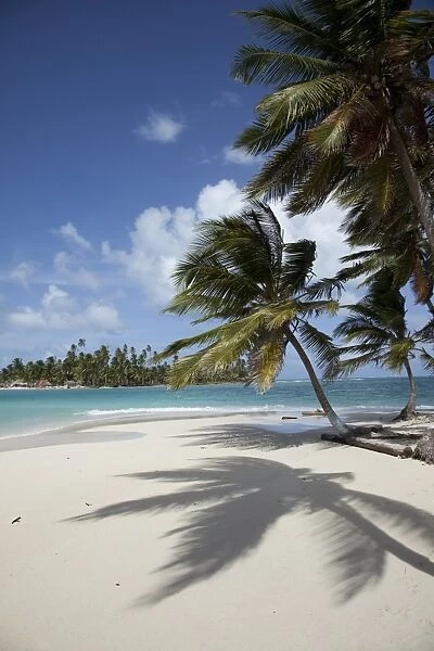 Sandy beach and palm trees on Dog Island, San Blas Islands, Panama, Central America