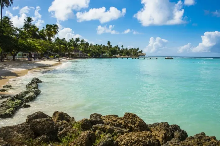 Framed Print : Sandy beach and palm trees of Pigeon Point, Tobago, Trinidad and Tobago, West Indies, Caribbean, Central America
