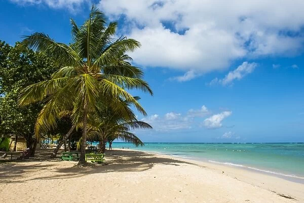 Sandy beach and palm trees of Pigeon Point, Tobago, Trinidad and Tobago, West Indies, Caribbean, Central America
