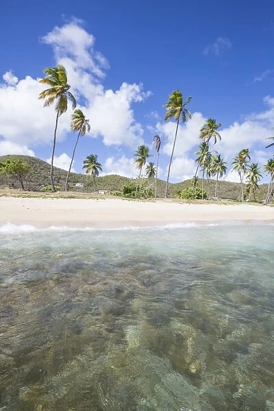 Sandy beach surrounded by palm trees and the Caribbean Sea, Morris Bay, Antigua and Barbudas