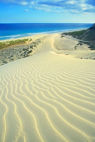 Sandy dunes at Sotovento beach, Jandia Peninsula, Fuerteventura, Canary Islands