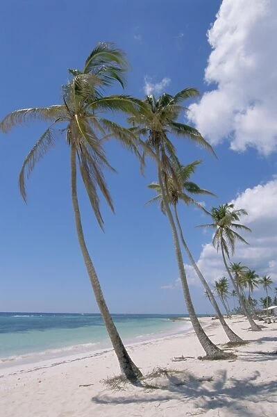 Saona Island, south coast, Dominican Republic, Central America