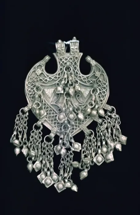 Framed Print : Sargul hair ornament Framed Print : Sargul hair ornament