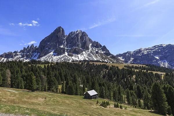 Sass de Putia in background enriched by green woods, Passo delle Erbe, South Tyrol
