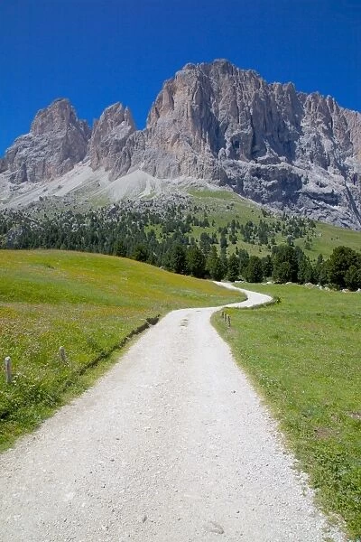 Sassolungo Group and path, Sella Pass, Trento and Bolzano Provinces, Italian Dolomites, Italy, Europe