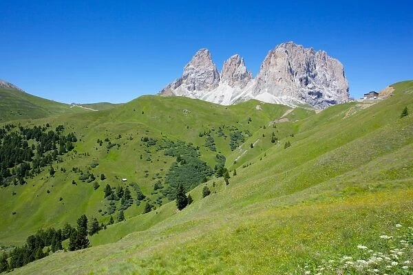 Sassolungo Group, Sella Pass, Trento and Bolzano Provinces, Italian Dolomites, Italy, Europe