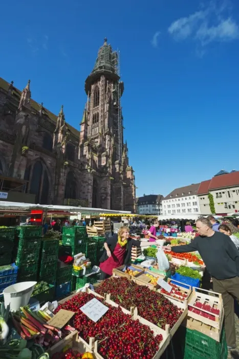 Framed Print : Saturday market, Freiburg Cathedral, Freiburg, Baden-Wurttemberg, Germany, Europe